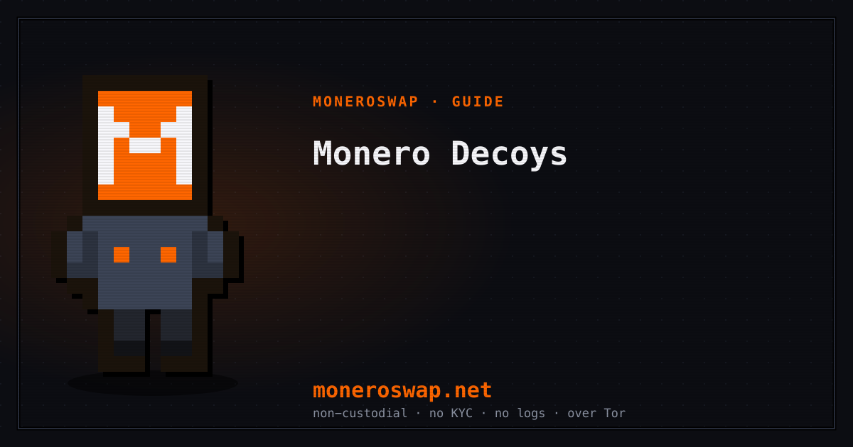 What Are Decoys in a Monero Transaction?